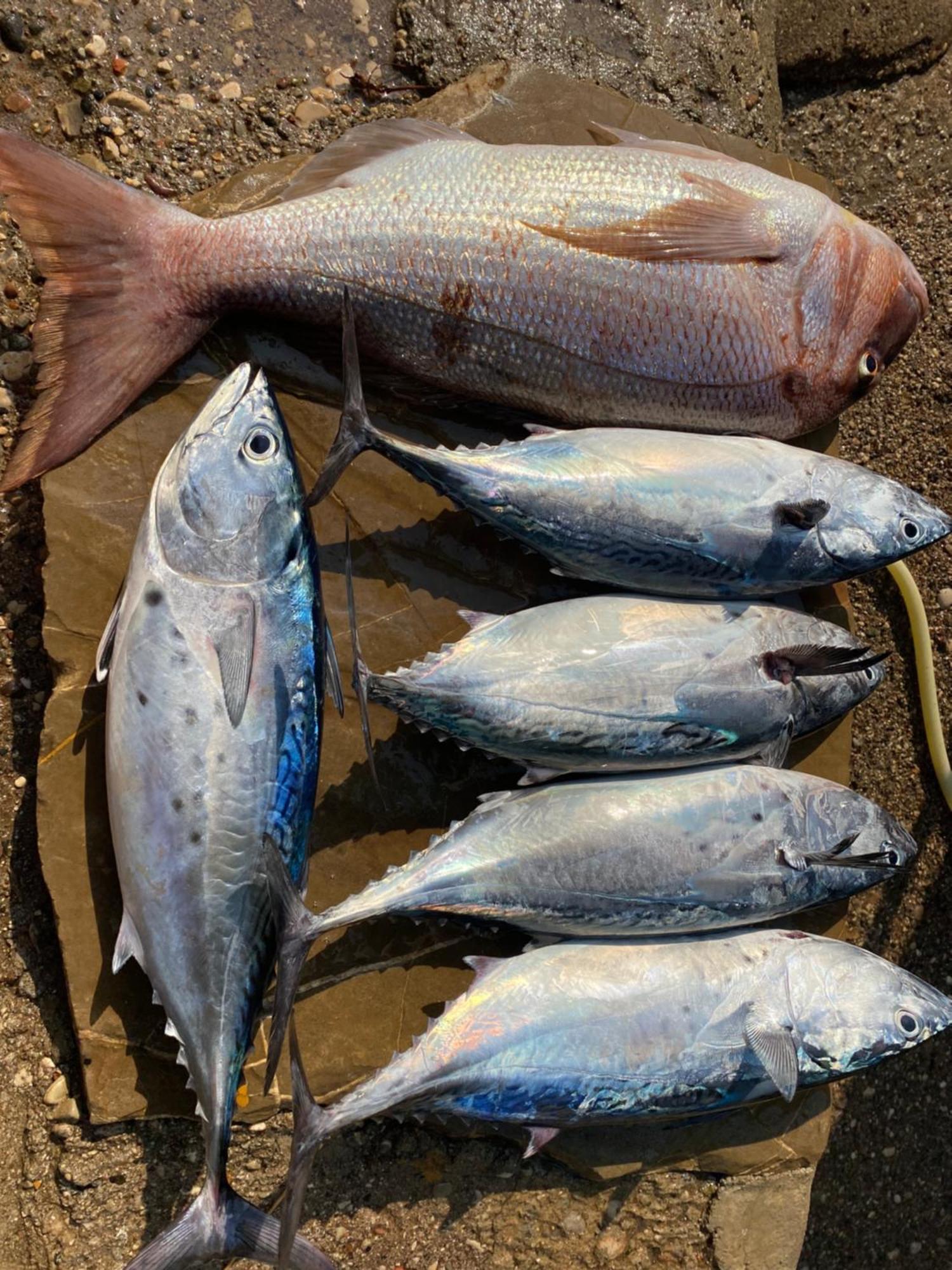 Gelidonya Pansiyon Kumluca 外观 照片