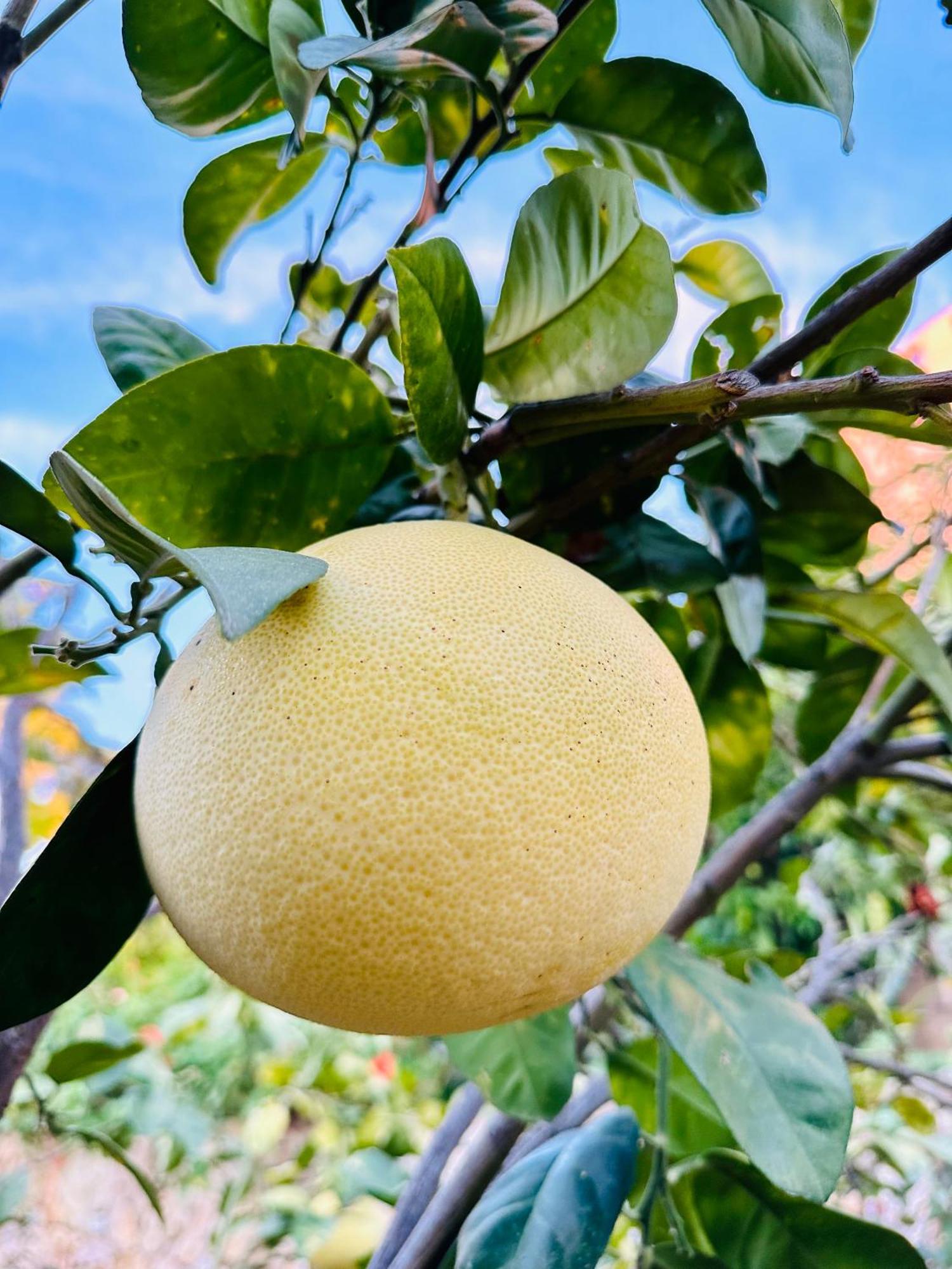 Gelidonya Pansiyon Kumluca 外观 照片